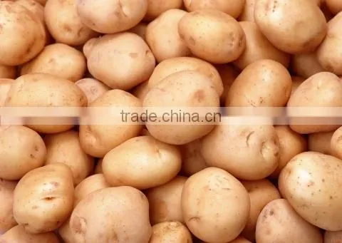 Fresh Potato