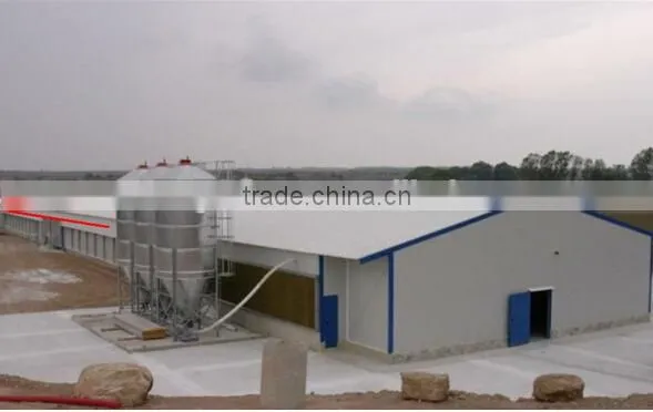 Steel Frame Type and Steel Material Metal Poultry Shed/galvanized Chicken Equipments Shed /chicken House Shed