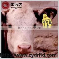 Small LF/UHF Rfid Cattle/ Goat /rabbit Animal Ear Tag photo-3