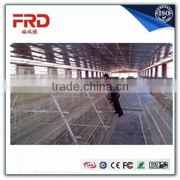 FRD Egg Chicken Cage/Poultry Shed Cage for Layer Chicken Farm/uganda Poultry Farm Automatic Chicken Layer Cage photo-3