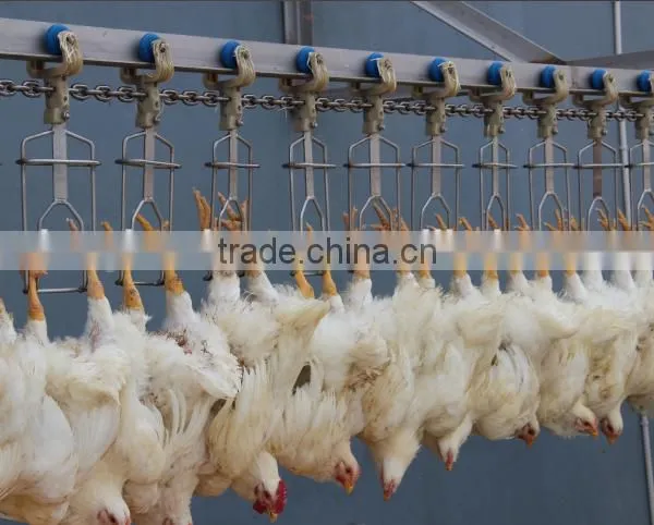 Chicken Abattoir House Slaughter Equipment 008618052092685 photo-2