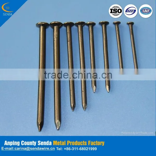 Best Sales Products in Large Concrete Steel Nail photo-4