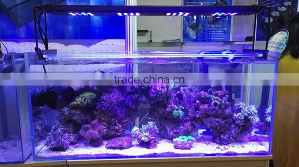 Lumini 48pcs 5w High Power 180w Coral Reef Used Led Aquarium Light photo-3