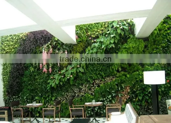 Wholesale Price Plastic Plant Vertical Everygreen Wall,artificial Plants for Wall photo-5