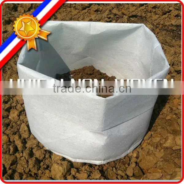 Customized Weight Non Woven Tree and Plant Grow Bag,planting Bags, Tree Planting Bag photo-2
