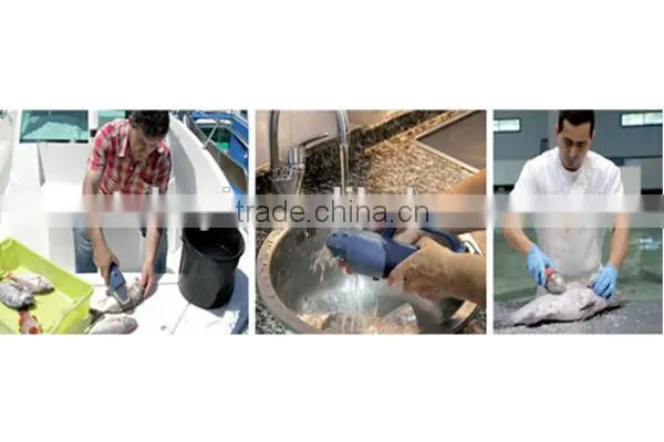 Professional Fish Scale /kitchen Appliance photo-5