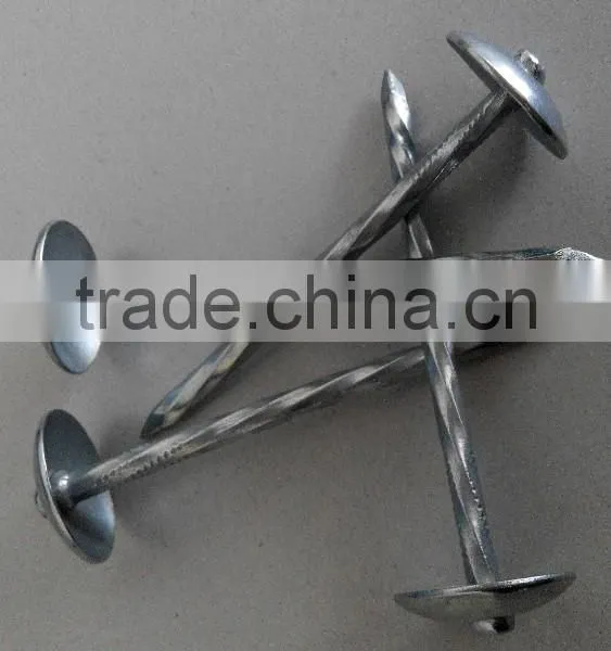 Galvanized Roofing Nails/umbrella Roofing Nails/roofing Nails With Washer photo-4