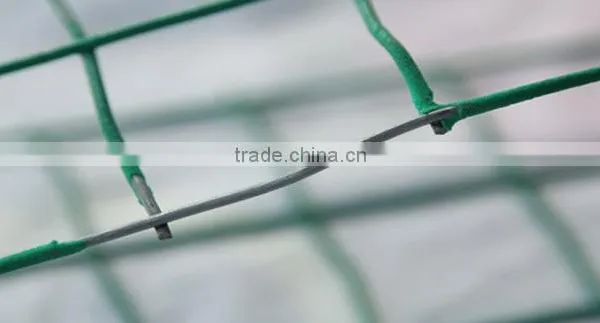 China Supplier Welded Wire Mesh photo-2