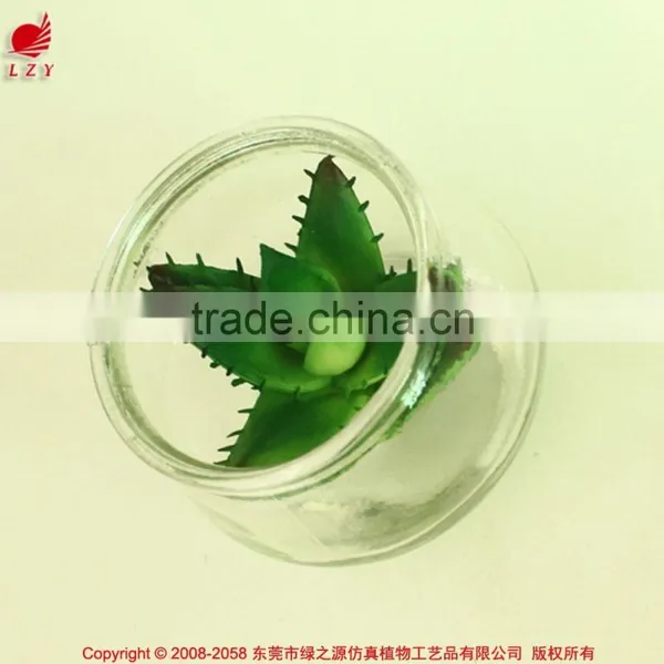 Hanging Glass Succulents Terrarium Mini Artificial Plants for Home Decoration photo-2