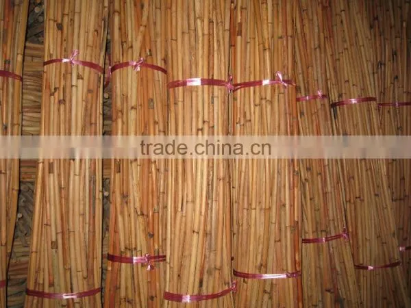 Red Water Rattan Cane photo-2