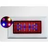 Plant LED Grow Light photo-2
