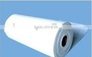 Ptfe Skived Sheet With Virgin or Recycled/3mm Ptfe Sheet photo-6