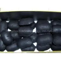 New Design Briquetting Machine/Briquetting Machine/Fote Briquetting Machine photo-2