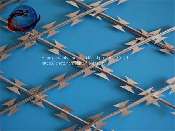 Galvanized Razor Barbed Wire Concertina Wire Coil photo-4