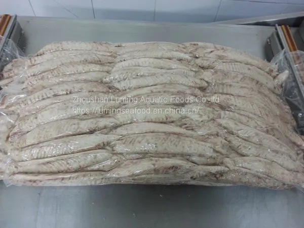 Precooked Sarda Tuna Loin Sarda Orientalis photo-5