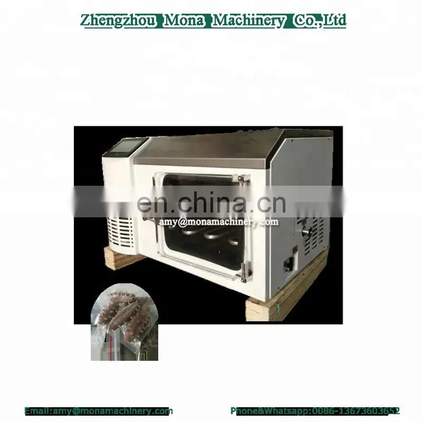 Hot Selling Laboratory Mini Vacuum Freeze Spray Dryer for Durian Flower Dendrobe Drying photo-3