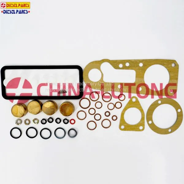 Diesel Fuel Pump Repair Kit-fuel Injector Pump Rebuild Kit 1 417 010 002 for JMC Engine photo-5