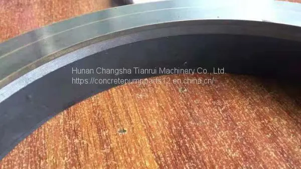 Concrete Pump Spare Parts Schwing Putzmeister Wear Plate and Cutting Ring photo-4