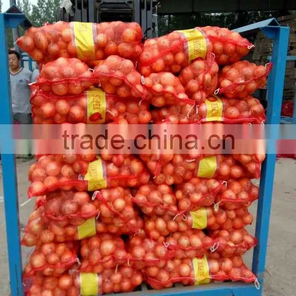 Wholesale Yellow Onion Packing In Mesh Bag At A Competitive Market Price photo-5