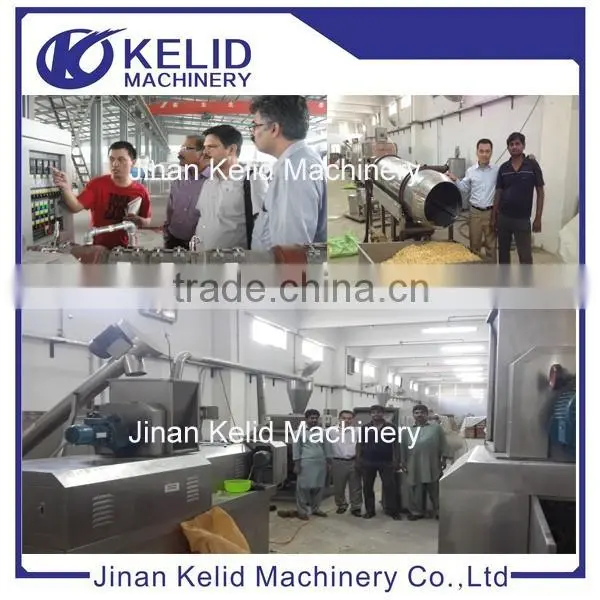 Single Screw Extruder Fried Pellet Machine photo-6