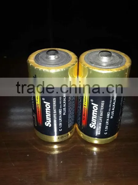Size D 1.5V LR20-S2P 1.5V d Alkaline Battery photo-4