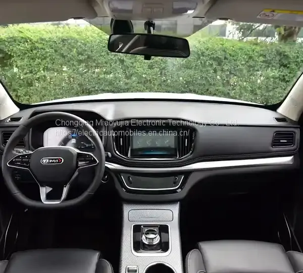 Alternative Fuel Vehicle Mustang Bojun EC60 China Factory Made EV Car 2022 SUV EV Cheap Best Price New Energy Vehicle photo-3