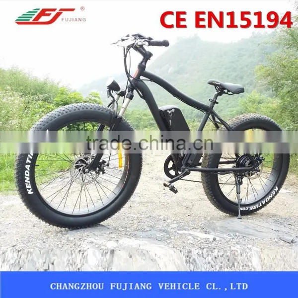 Green City Electric Dirt Bike Sale photo-4