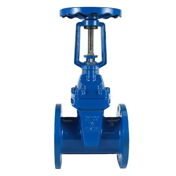 Resilient Seated Ductile Iron Gate Valve Soft Seal Globe Check Non Return Valve Z41X-16Q photo-2