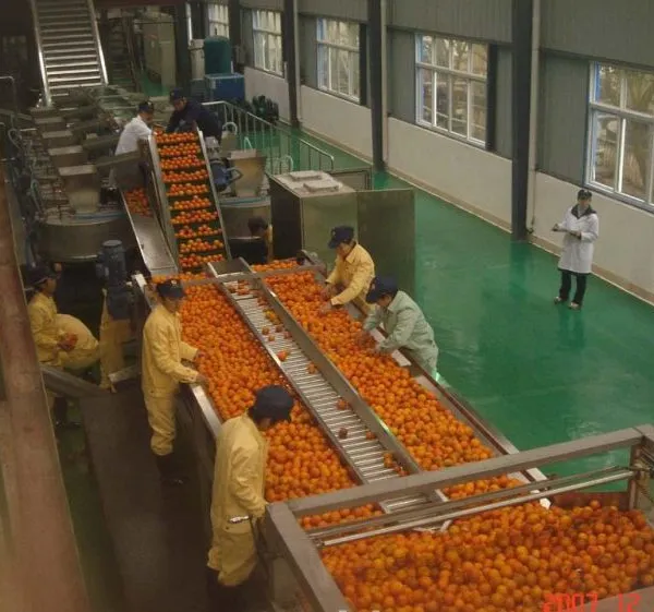 Shanghai Factory Small Tomato Pulping Evaporation Plant Machine Equipment Tomato Paste Sauce Ketchup Fruit Jam Production Line photo-2