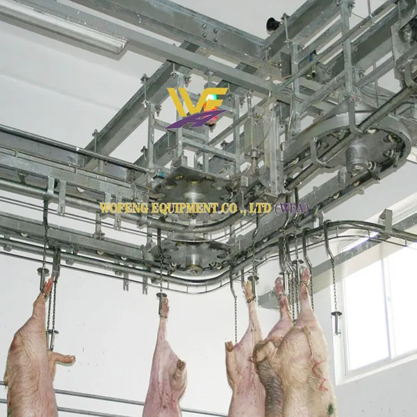 Turnkey Pig Slaughterhouse Machinery Project Hog Abattoir Line Equipment HACCP Swine Butchery Machine Pork Processing Plant photo-5