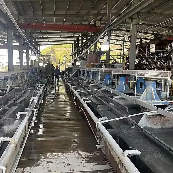 CIL CIP Gold Processing Plant Leaching and Adsorption High Efficiency 20-500 TPD EPC Project