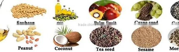 Coconut Extraction Peanut Oil Peanut Processing Machine photo-6