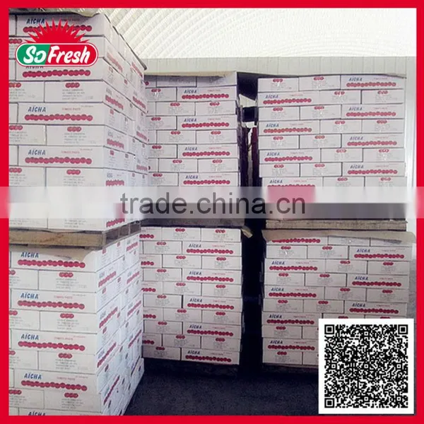 Tinned and Plastic Packed Canned Tomato Ketchup photo-2