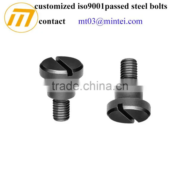 Custom Precision Slotted Head Electronic Micro Screw photo-2
