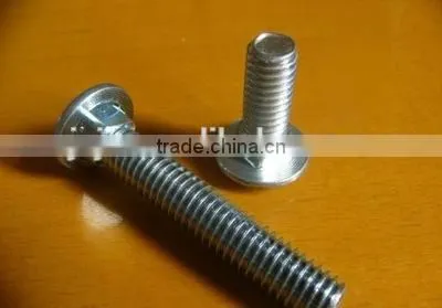China Supply High Quality Carbon Steel Carriage Bolt photo-6