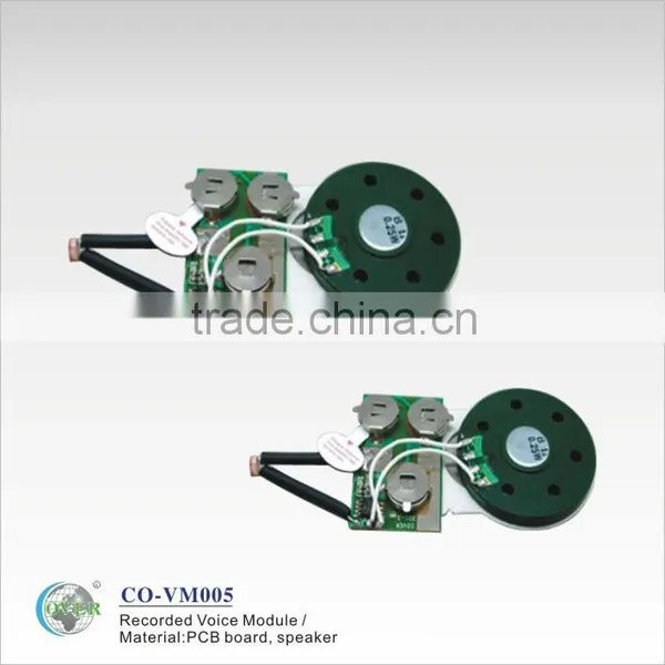 Greeting card programmable sound module