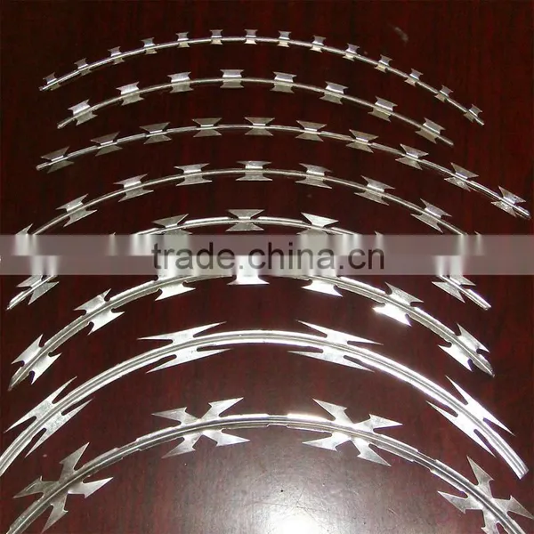 Sharp Security Fence Razor Barbed Wire in Prision/frontier Defence photo-6