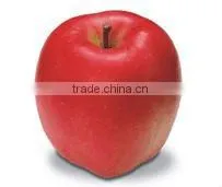 New Red Star Apple