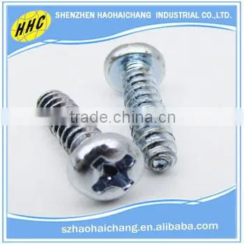 Manufacturer Nonstandard Stainless Steel Threaded Phillips Screw photo-3