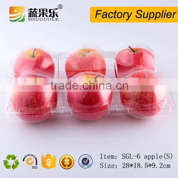 6 Cells Plastic Fruit Packaging Apple Containers photo-2