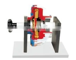 Anatomical Fluid Coupling Model of Automotive Training Equipment