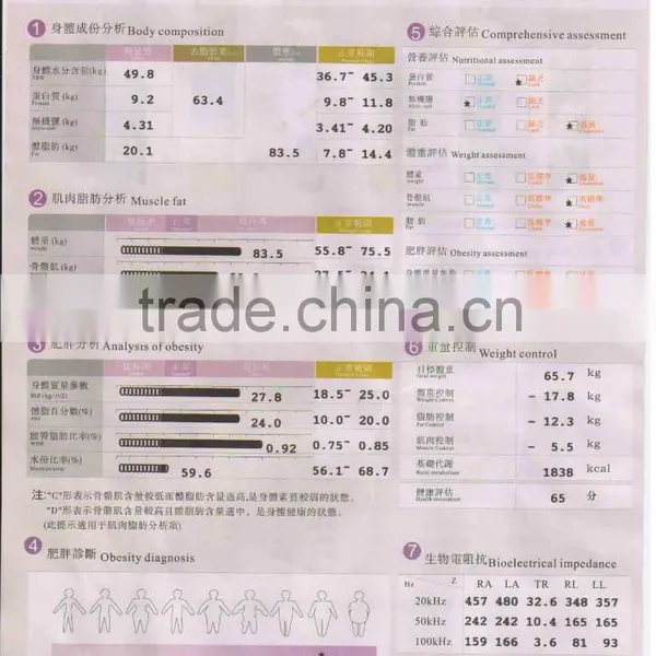 Two Years Warranty Body Analyzer System Ostar Beauty CE/ISO Approval HA 01 photo-6