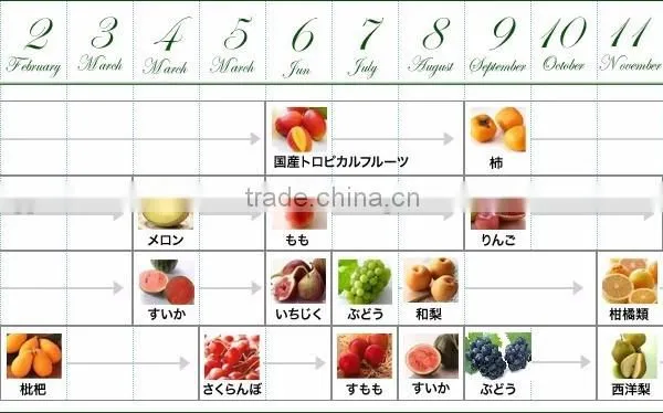 Japanese and Safe Mango Fruit and Apple Fruit for Fruit Importer , Other Fruit Also Available