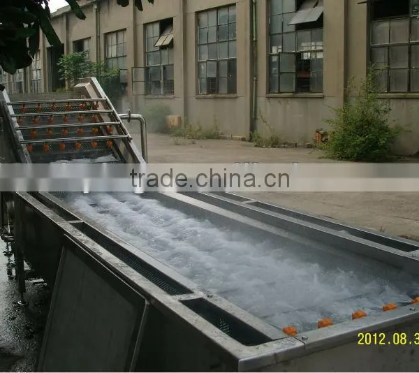 Potato Washer Machine