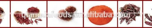 2016 New Crop Xinjiang Paprika photo-3