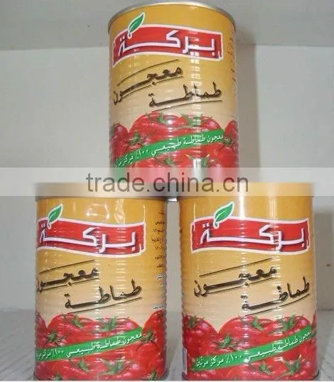 70G-4500G China Hot Sell Canned Tomato Paste Factory Gino Tomato Paste photo-3