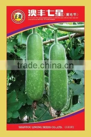 Zucchini Black Beauty Seeds