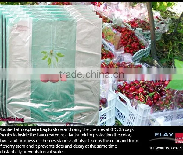 Pineapple Bag photo-6