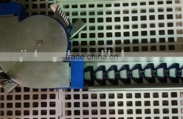 breeder chain feeding system and drinking system