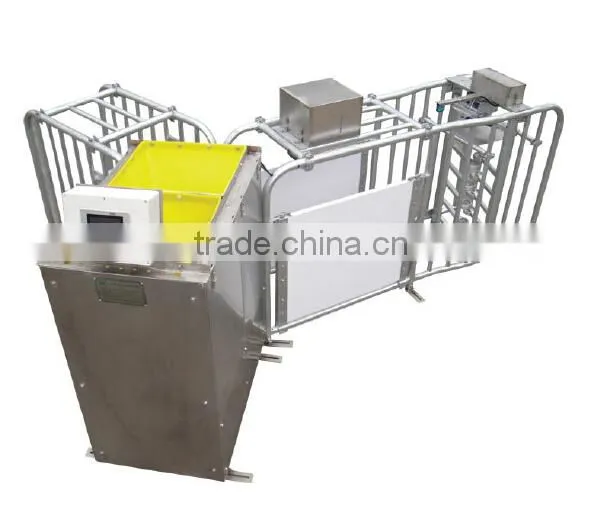 Automatic Feeding System